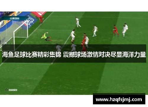 海鱼足球比赛精彩集锦 震撼球场激情对决尽显海洋力量